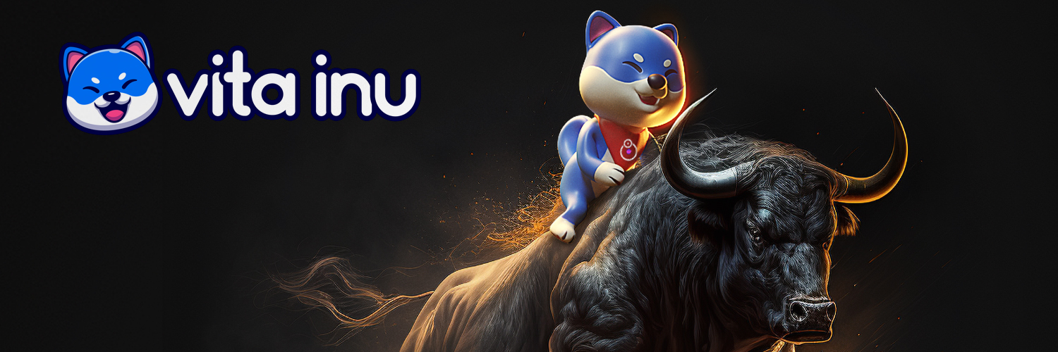 VINU Bullrun — Banner